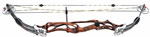 Hoyt Pro Elite XT3500 Target - click for more information